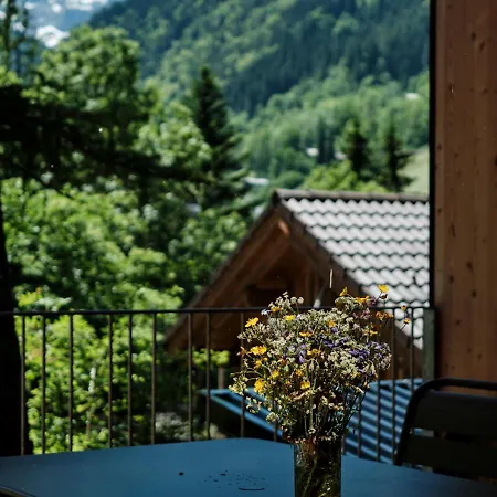 Aelmele - Waldchalets Brandnertal